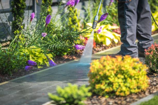 Reliable Taft, CA Pressure Washing Services Solutions
